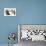 Matrimonial Misfits-Charles Dana Gibson-Premium Giclee Print displayed on a wall