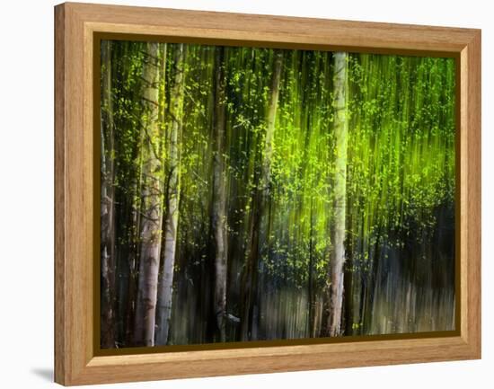 Matrix-Ursula Abresch-Framed Premier Image Canvas