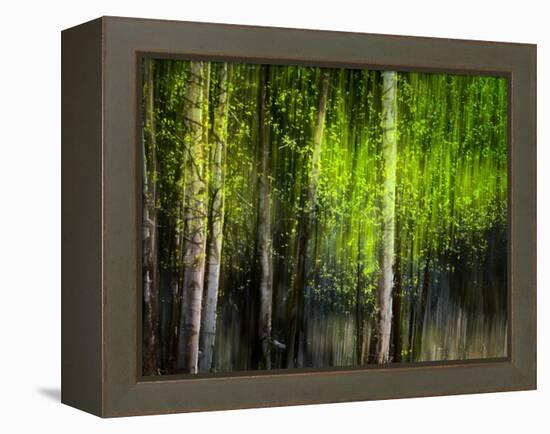 Matrix-Ursula Abresch-Framed Premier Image Canvas