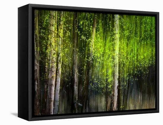 Matrix-Ursula Abresch-Framed Premier Image Canvas