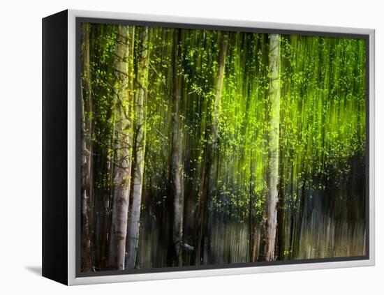 Matrix-Ursula Abresch-Framed Premier Image Canvas