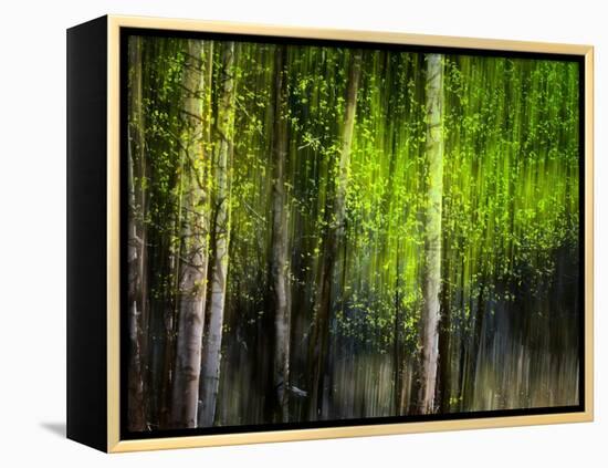 Matrix-Ursula Abresch-Framed Premier Image Canvas