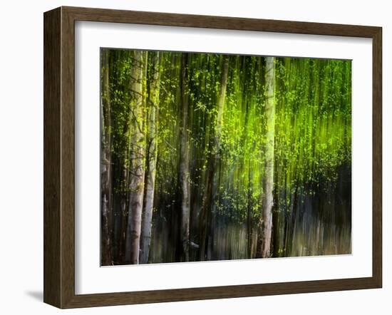 Matrix-Ursula Abresch-Framed Photographic Print