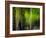 Matrix-Ursula Abresch-Framed Photographic Print