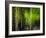 Matrix-Ursula Abresch-Framed Photographic Print