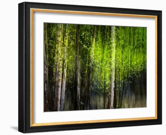 Matrix-Ursula Abresch-Framed Photographic Print