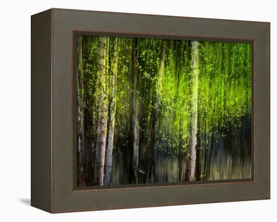 Matrix-Ursula Abresch-Framed Premier Image Canvas