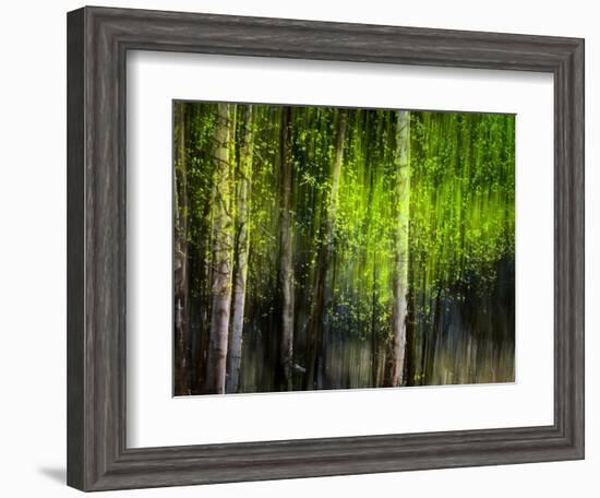 Matrix-Ursula Abresch-Framed Photographic Print