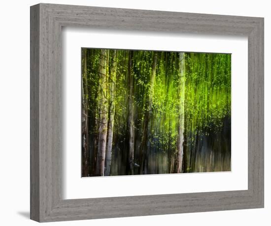 Matrix-Ursula Abresch-Framed Photographic Print