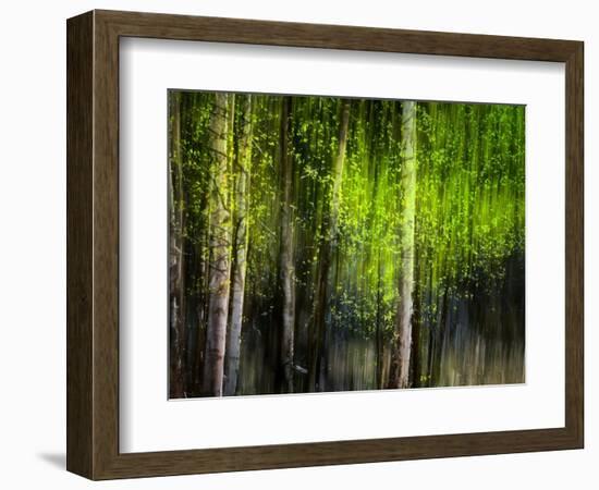 Matrix-Ursula Abresch-Framed Photographic Print