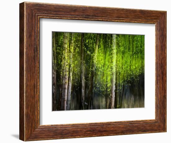 Matrix-Ursula Abresch-Framed Photographic Print