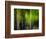 Matrix-Ursula Abresch-Framed Photographic Print