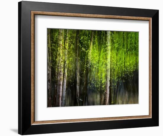 Matrix-Ursula Abresch-Framed Photographic Print