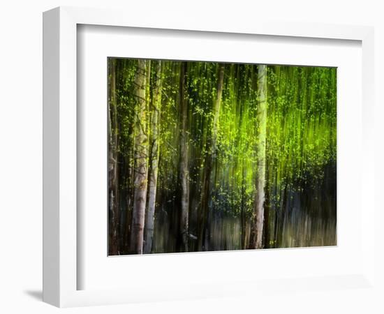 Matrix-Ursula Abresch-Framed Photographic Print