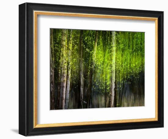 Matrix-Ursula Abresch-Framed Photographic Print