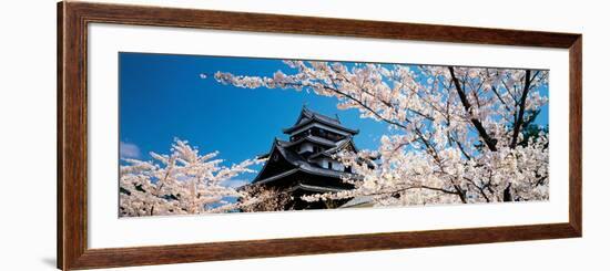 Matsue Castle Cherry Blossoms Shimane Japan-null-Framed Photographic Print