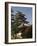 Matsumoto Castle, Nagano Prefecture, Kyoto, Japan-Christian Kober-Framed Photographic Print