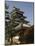 Matsumoto Castle, Nagano Prefecture, Kyoto, Japan-Christian Kober-Mounted Photographic Print