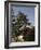 Matsumoto Castle, Nagano Prefecture, Kyoto, Japan-Christian Kober-Framed Photographic Print