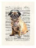 Shihtzu-Matt Dinniman-Art Print