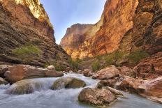 Grand Canyon National Park, Arizona, USA-Matt Freedman-Photographic Print