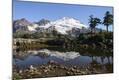 Photographic Print
