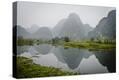 Stretched Canvas Print