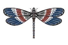 Totem Dragonfly-Matt James-Mounted Art Print