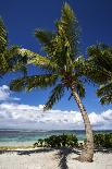 Beautiful Beaches of Alphonse Island, Seychelles-Matt Jones-Photographic Print