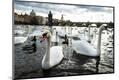 Premium Photographic Print