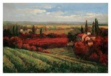 Tuscan Fields of Red-Matt Thomas-Framed Art Print