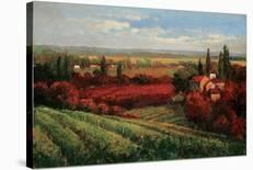 Tuscan Fields of Red-Matt Thomas-Stretched Canvas