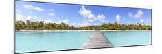 Premium Photographic Print