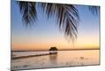 Photographic Print