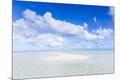 Photographic Print