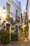 Spain, Andalusia, Cordoba. Calleja De Las Flores (Street of the Flowers) in the Old Town, at Dusk-Matteo Colombo-Photographic Print