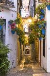 Spain, Andalusia, Cordoba. Calleja De Las Flores (Street of the Flowers) in the Old Town, at Dusk-Matteo Colombo-Premier Image Canvas