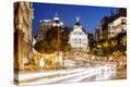 Stretched Canvas Print