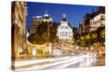 Stretched Canvas Print