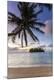 Premium Photographic Print