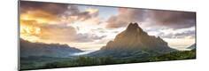 Premium Photographic Print