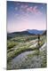 Photographic Print