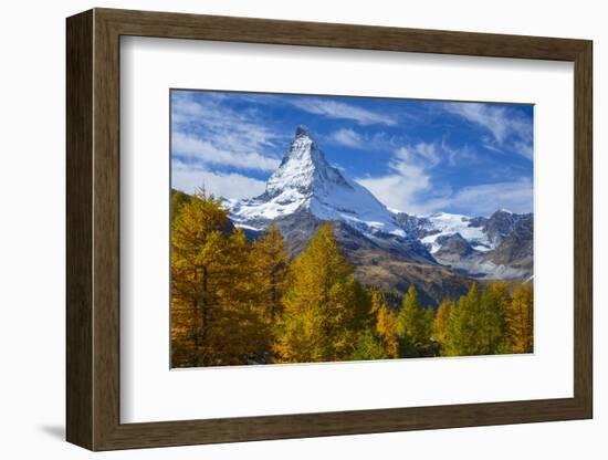 Matterhorn and Larch Tree Forest in Autumn, Valais, Swiss Alps, Switzerland, Europe-Patrick Frischknecht-Framed Photographic Print