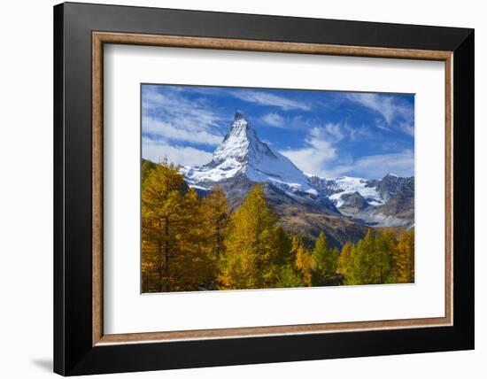 Matterhorn and Larch Tree Forest in Autumn, Valais, Swiss Alps, Switzerland, Europe-Patrick Frischknecht-Framed Photographic Print