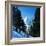 Matterhorn-Bettmann-Framed Photographic Print