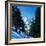 Matterhorn-Bettmann-Framed Photographic Print