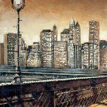 The Woolworth Building-Matthew Daniels-Art Print