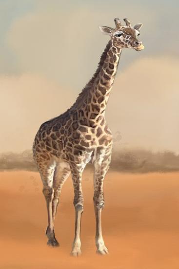 Art Print, , large