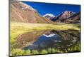 Photographic Print