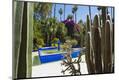 Photographic Print